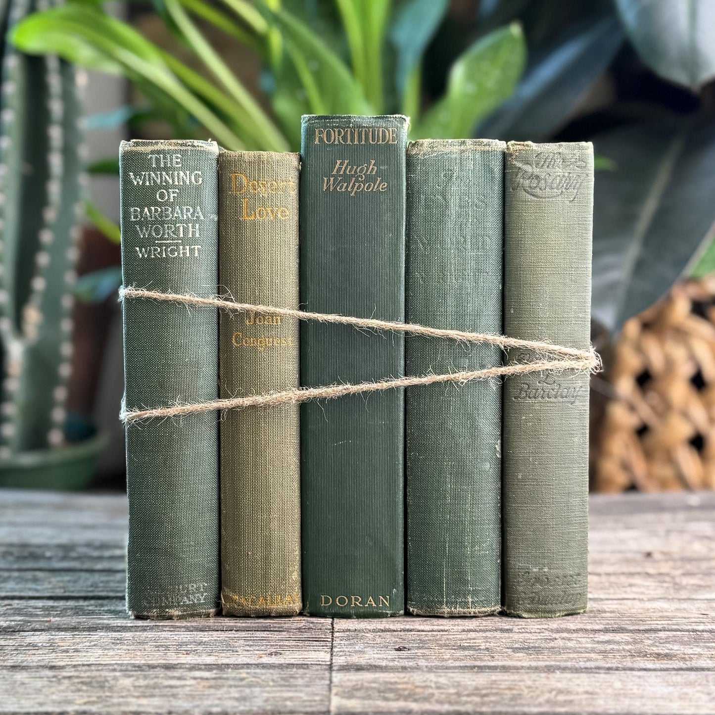 Antique Green Novel Bundle For Shelf Styling