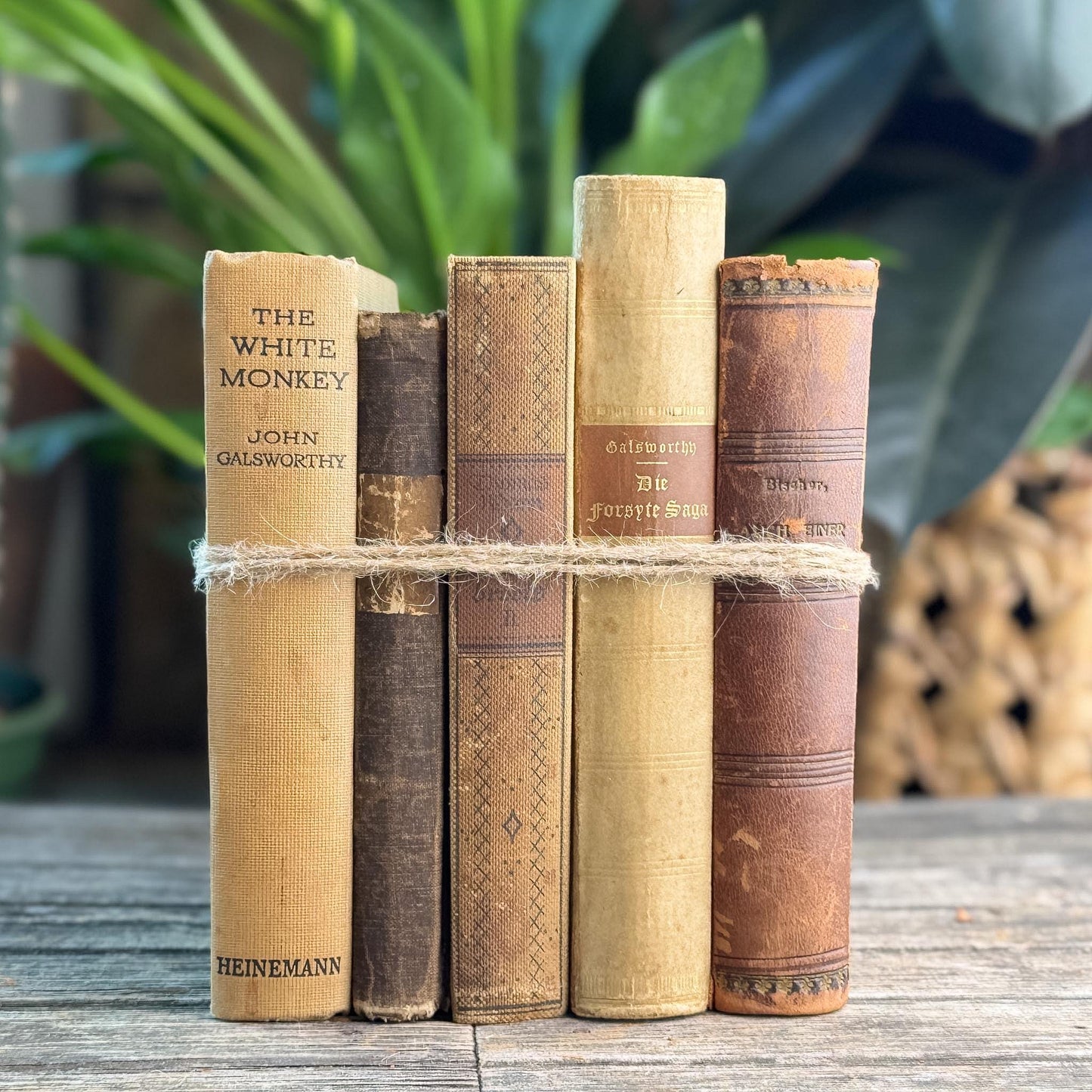 Antique Neutral Beige and Brown Linen and Leather Book Bundle