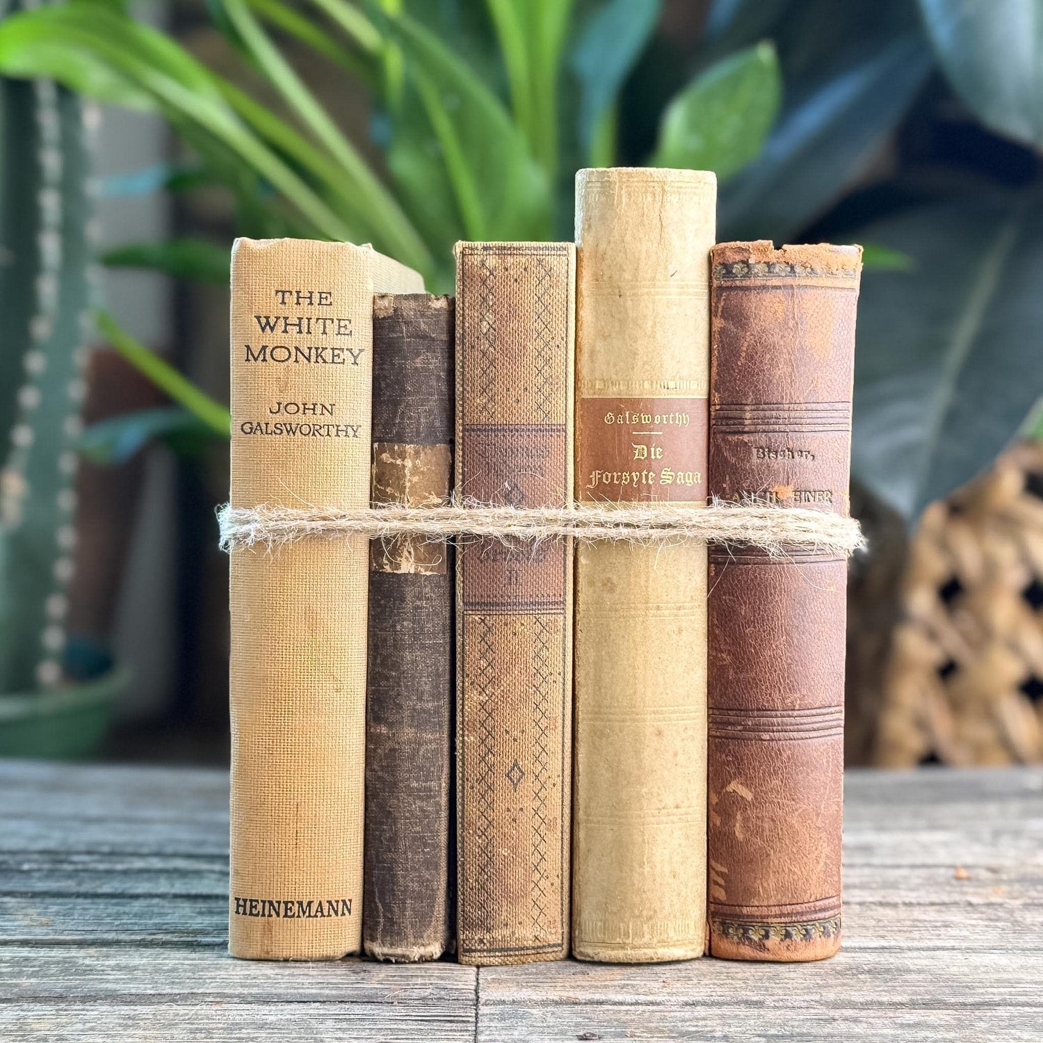 Antique Neutral Beige and Brown Linen and Leather Book Bundle