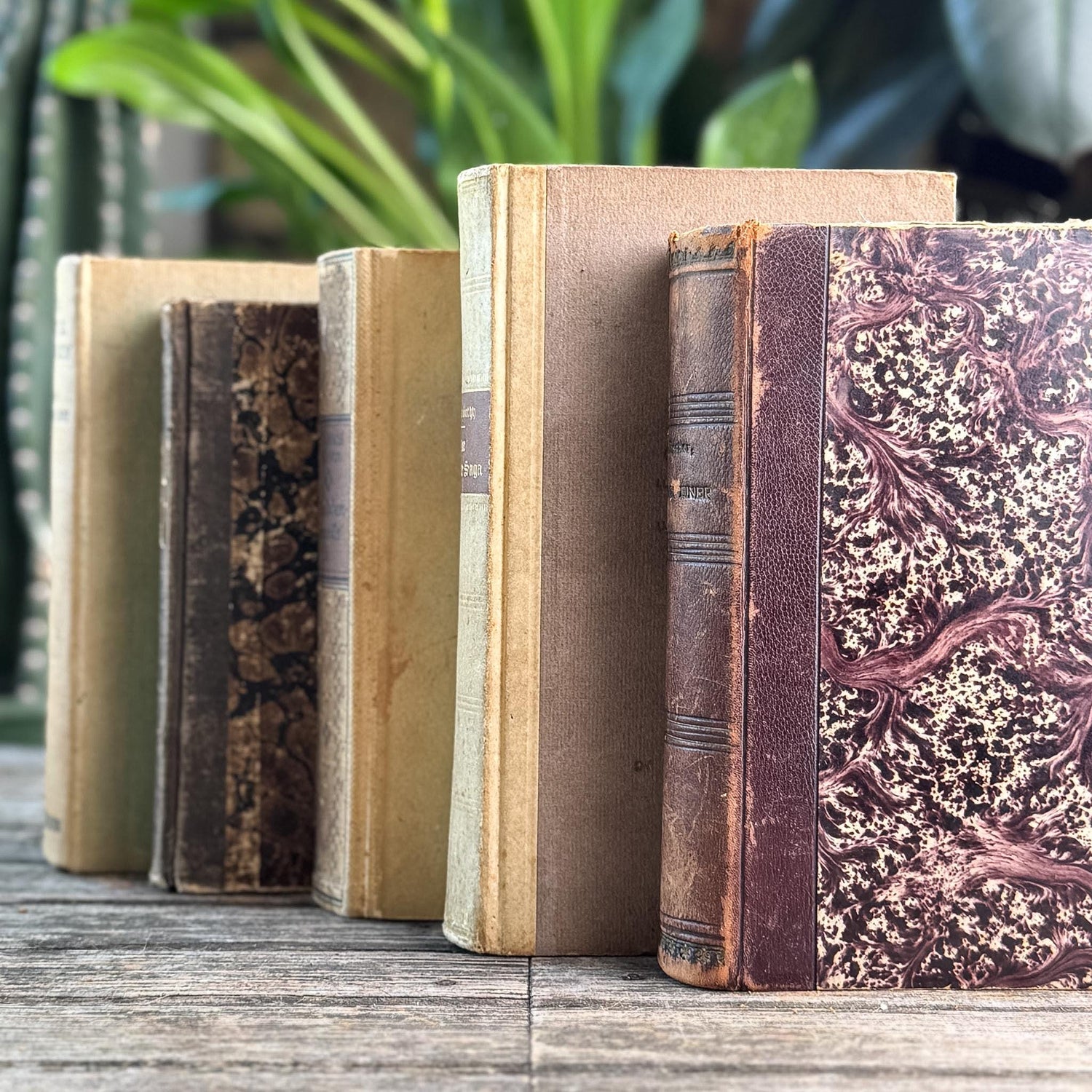 Antique Neutral Beige and Brown Linen and Leather Book Bundle