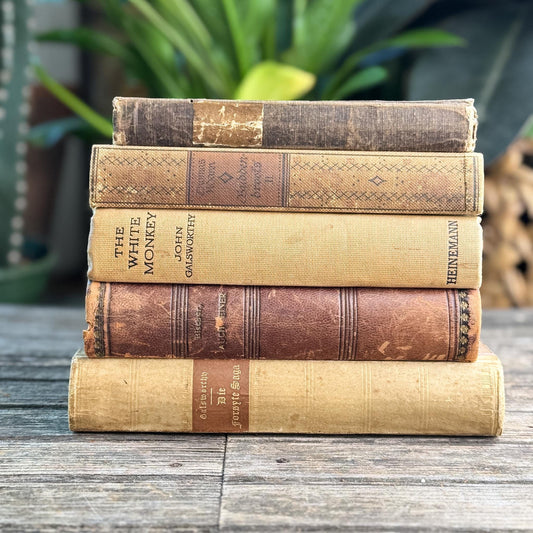Antique Neutral Beige and Brown Linen and Leather Book Bundle