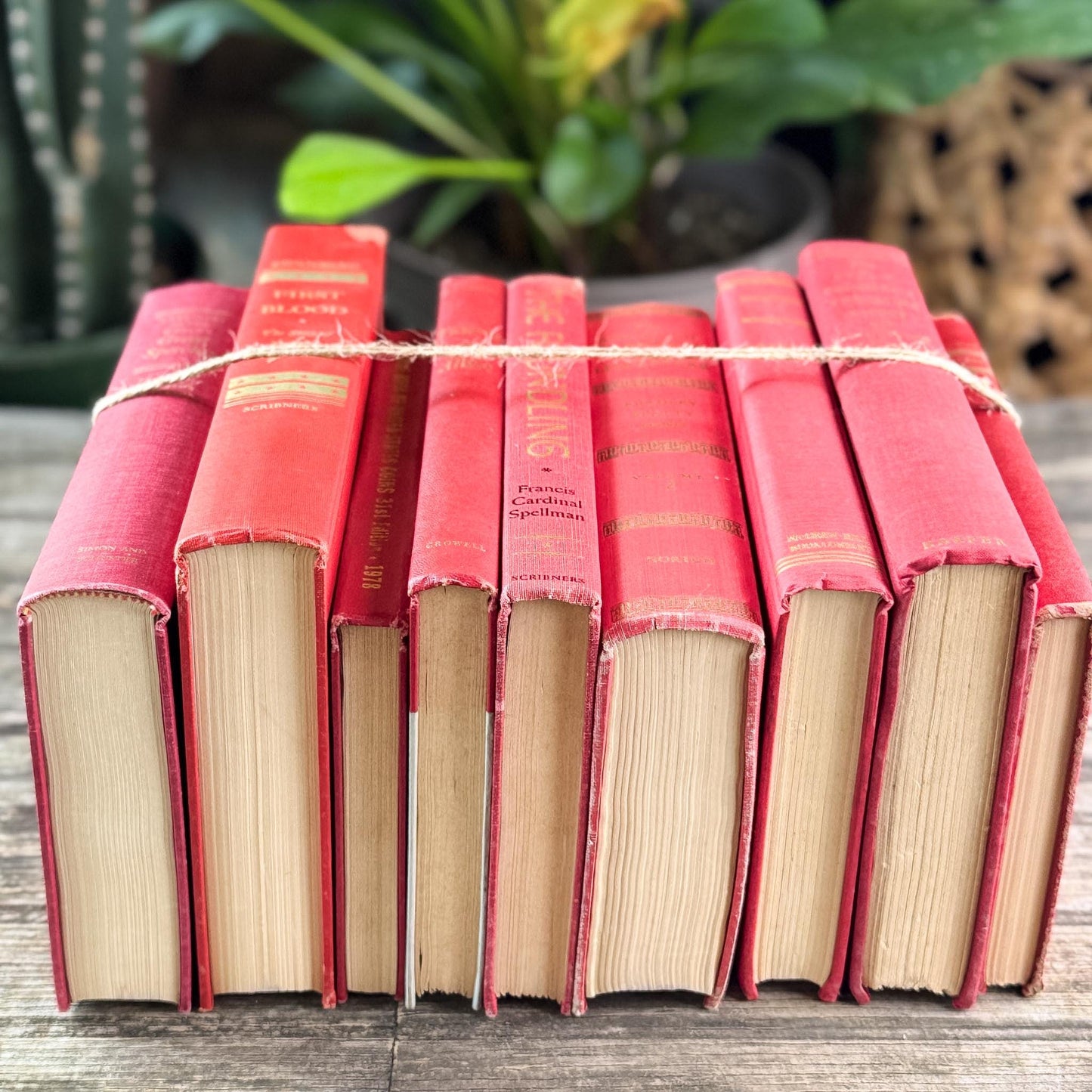 Vintage Red and Gold Books for Display