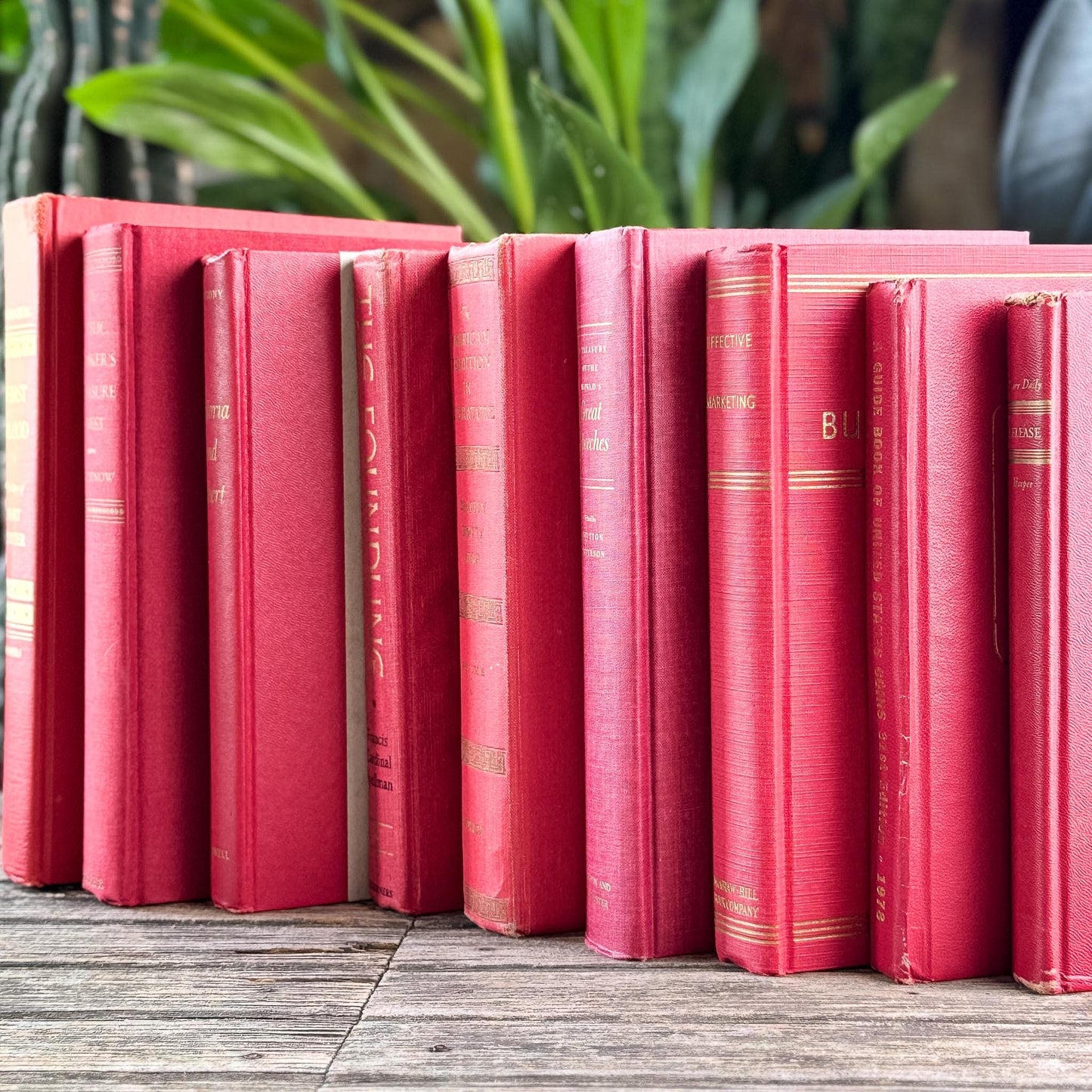 Vintage Red and Gold Books for Display