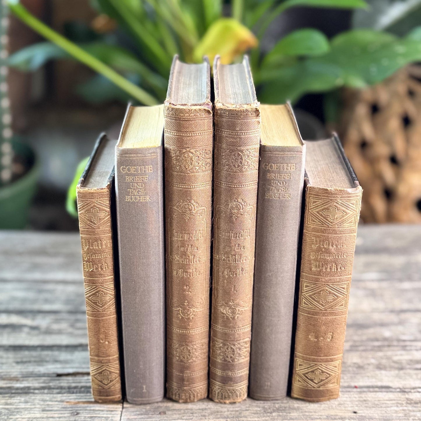 Antique Ornate Brown German Books, European Book Bundle