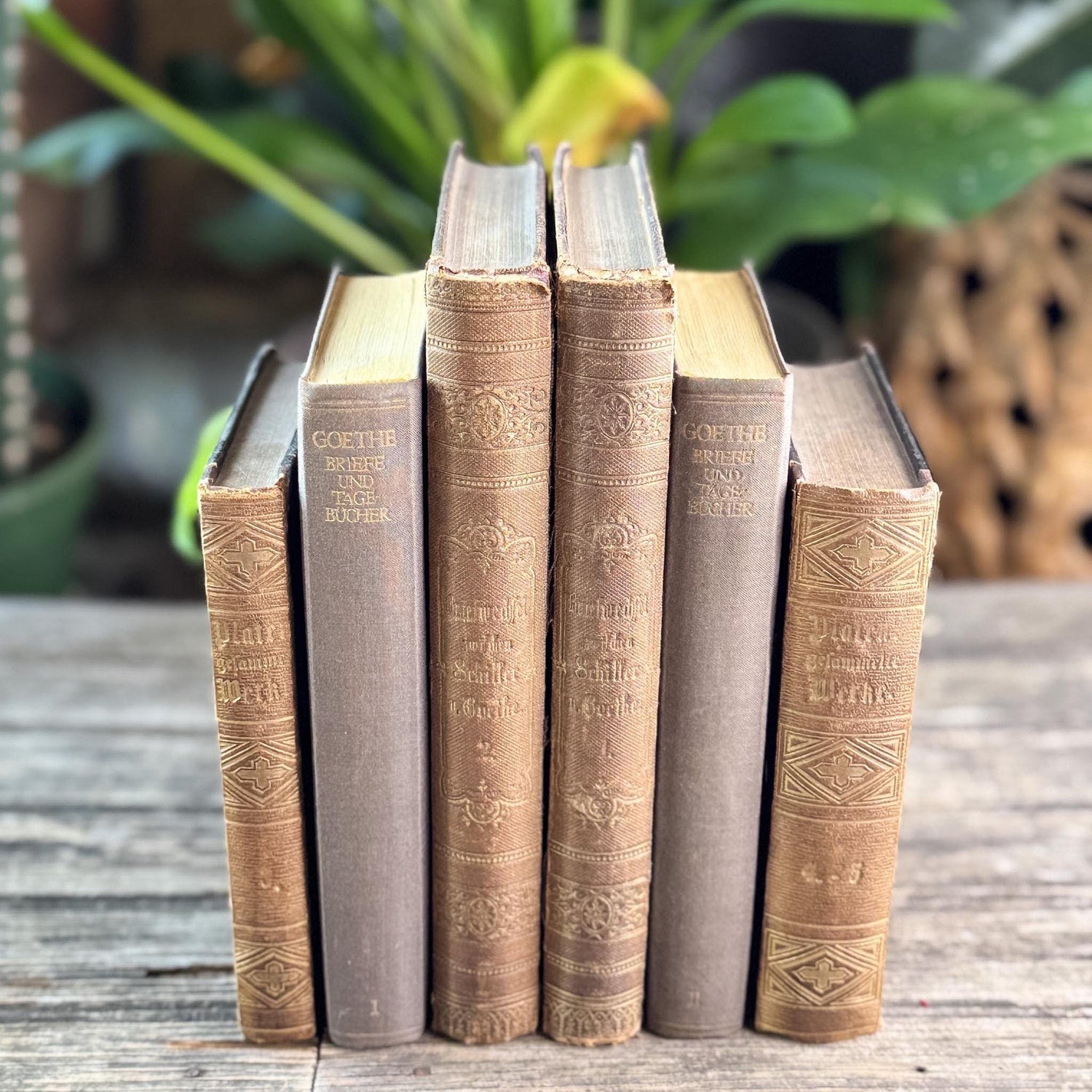 Antique Ornate Brown German Books, European Book Bundle