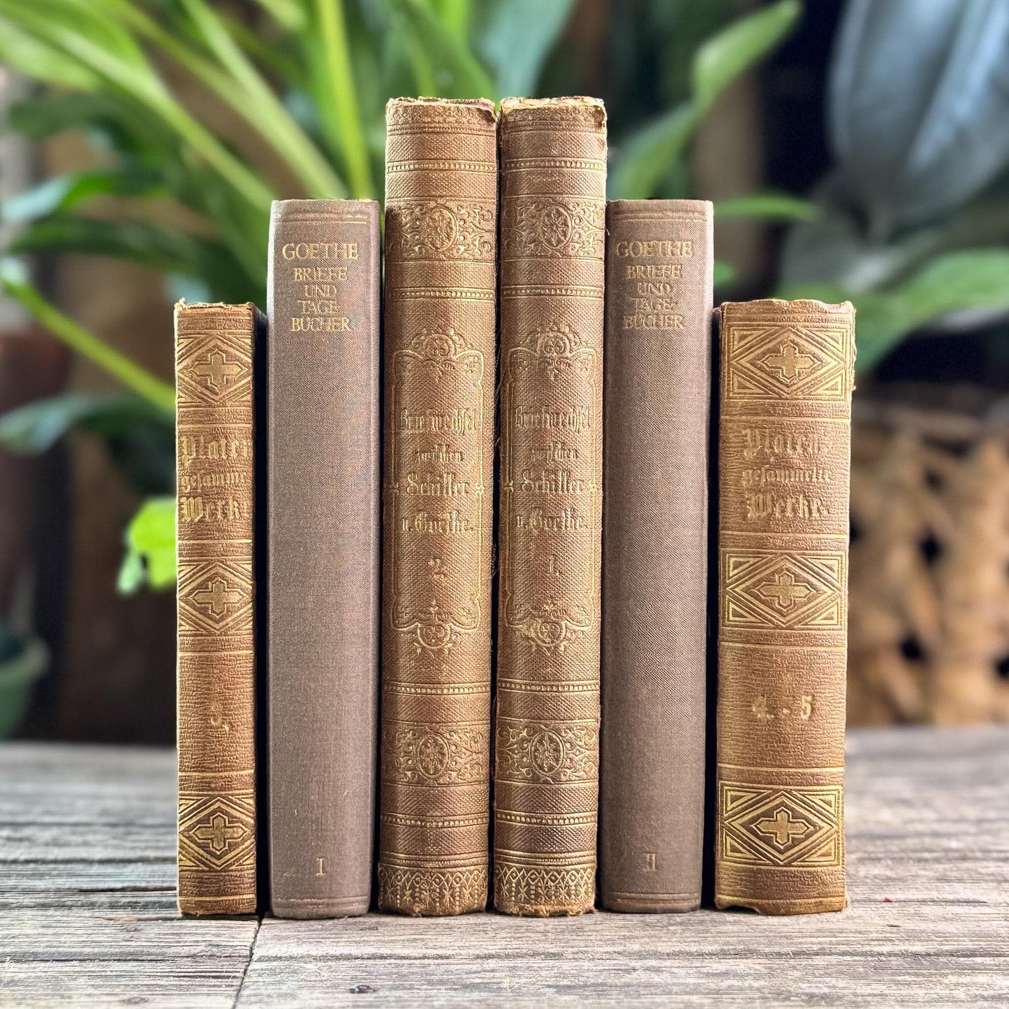 Antique Ornate Brown German Books, European Book Bundle