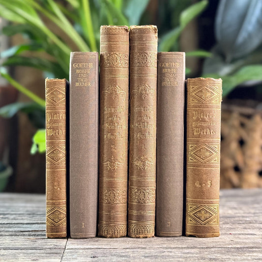 Antique Ornate Brown German Books, European Book Bundle