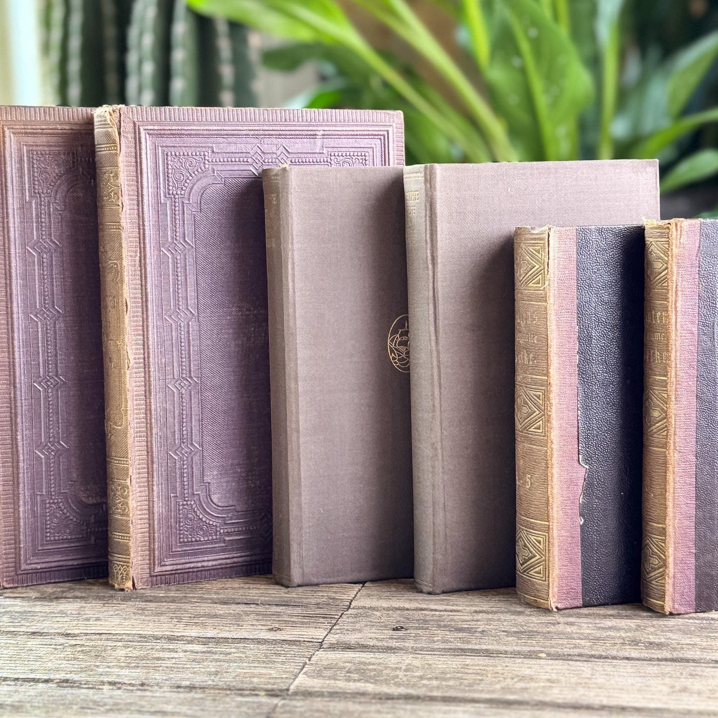 Antique Ornate Brown German Books, European Book Bundle