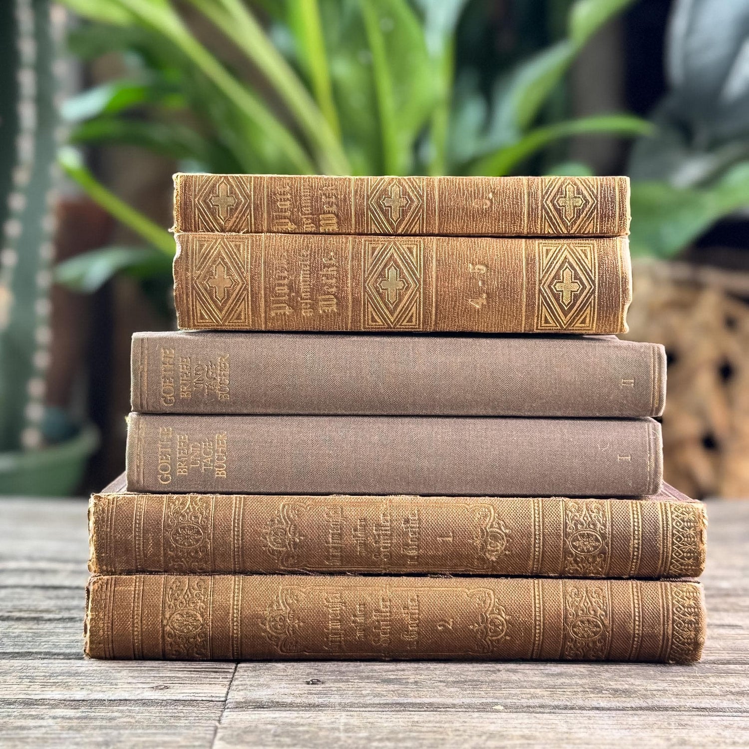 Antique Ornate Brown German Books, European Book Bundle