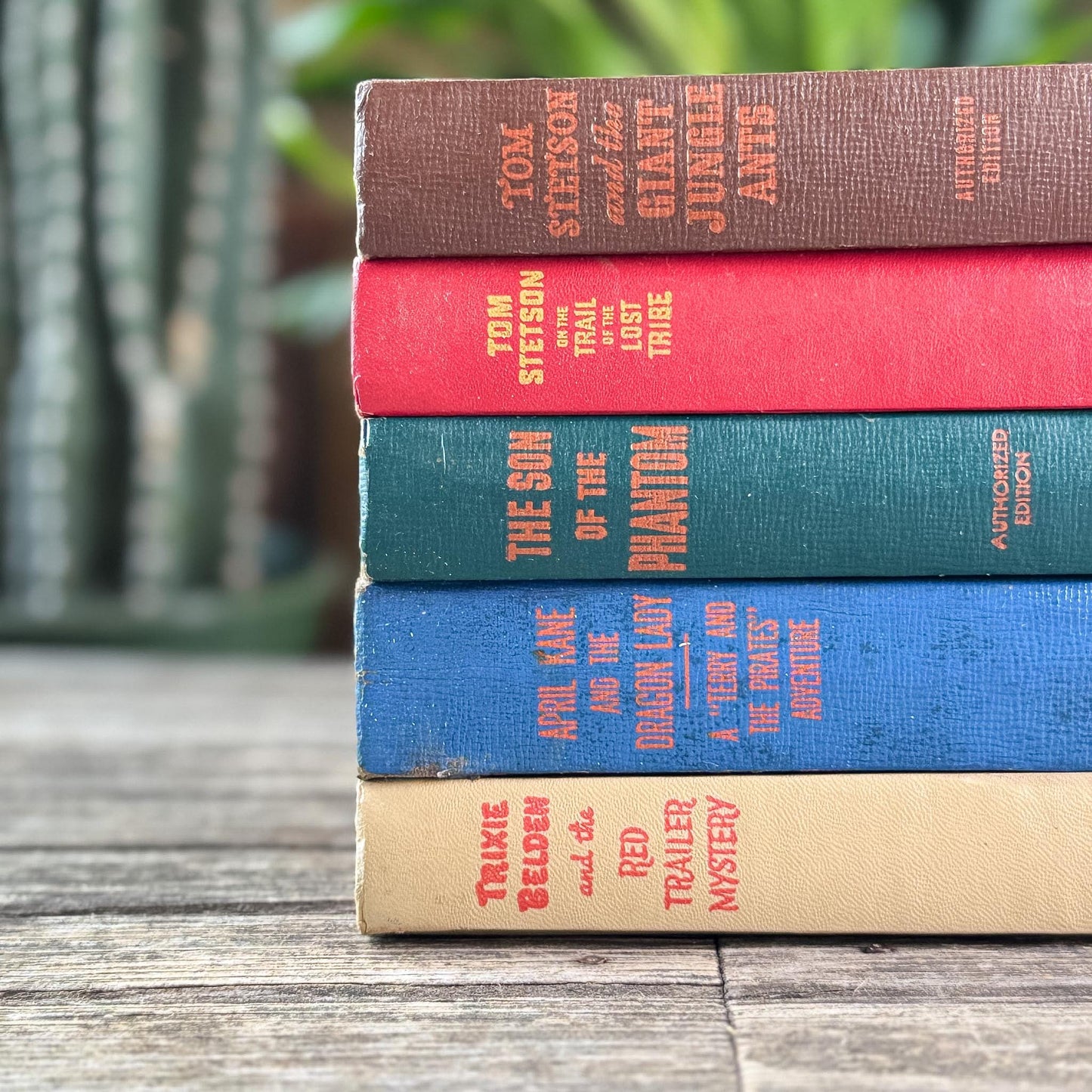 Vintage Whitman Classics 1940s Kids Books