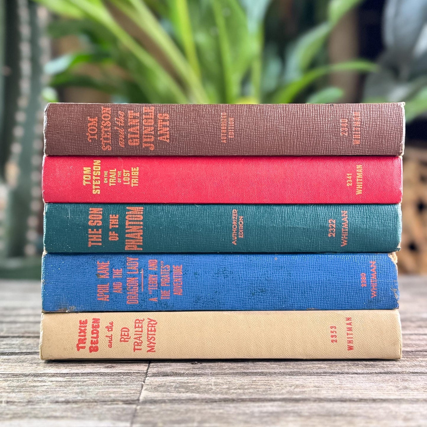 Vintage Whitman Classics 1940s Kids Books