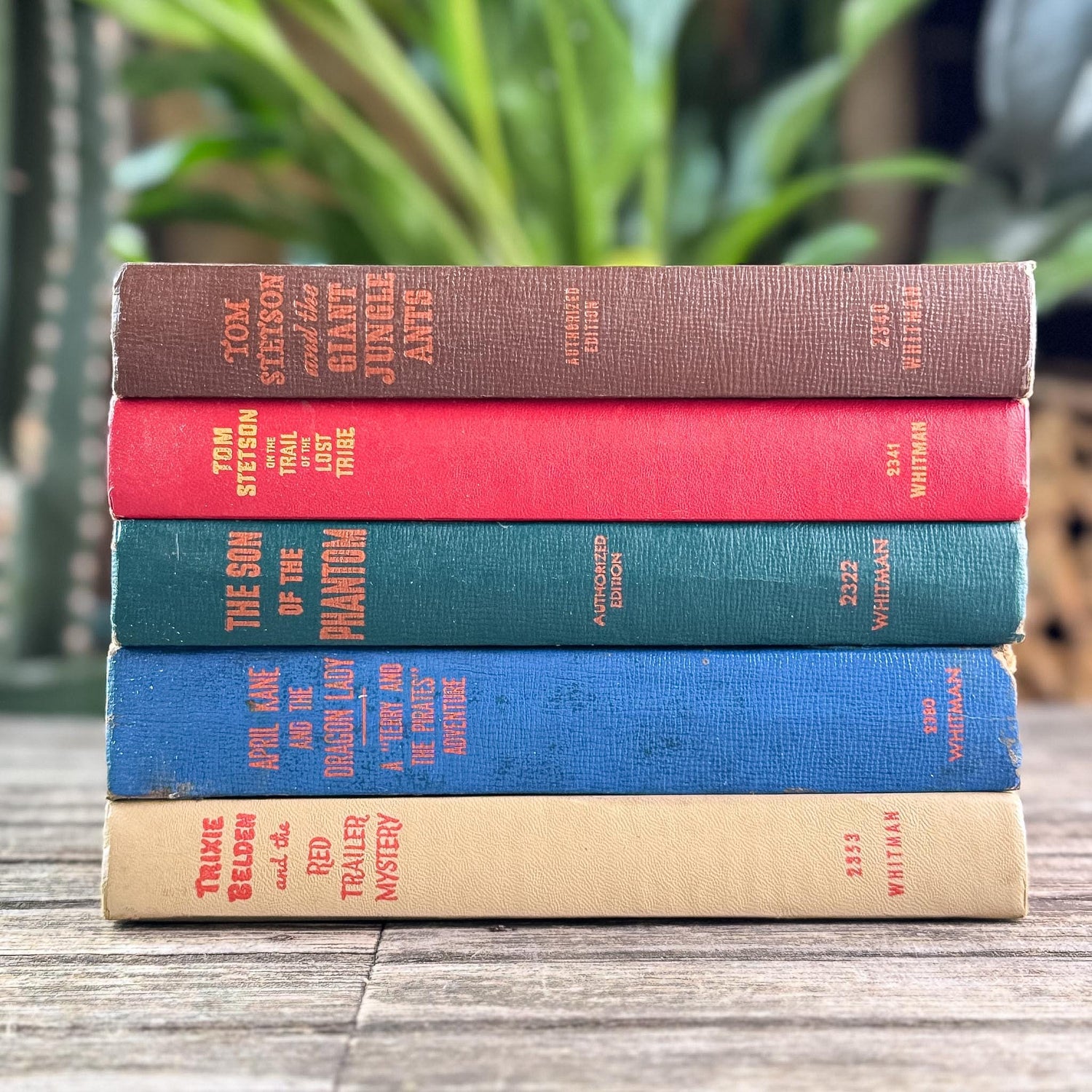 Vintage Whitman Classics 1940s Kids Books