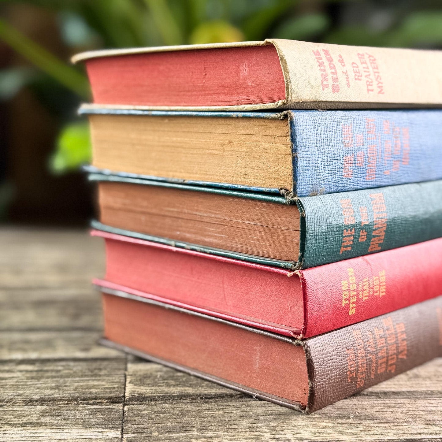 Vintage Whitman Classics 1940s Kids Books