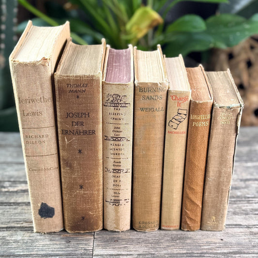 Heavily Worn Distressed Antique Neutral Beige Book Bundle for Shelf Styling