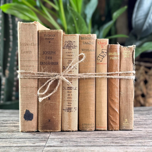 Heavily Worn Distressed Antique Neutral Beige Book Bundle for Shelf Styling