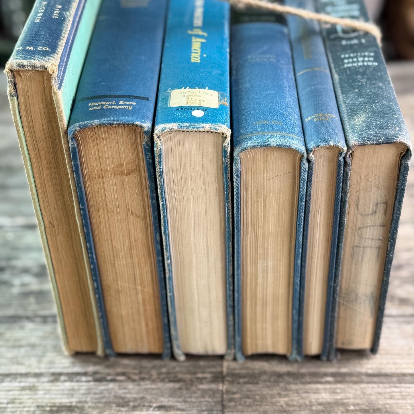 Vintage Oversized Blue Mid-Century Textbook Bundle For Shelf Styling