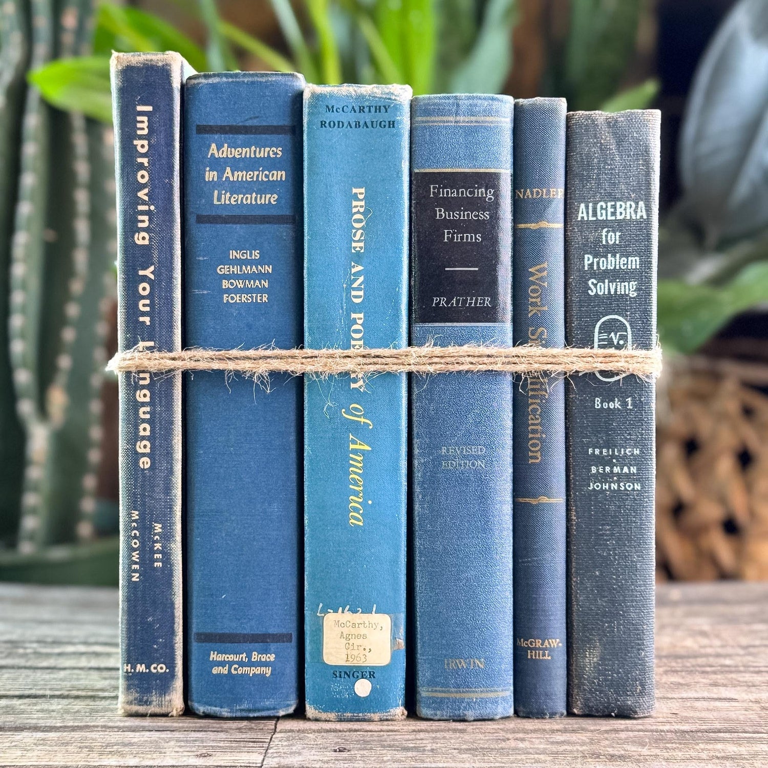 Vintage Oversized Blue Mid-Century Textbook Bundle For Shelf Styling