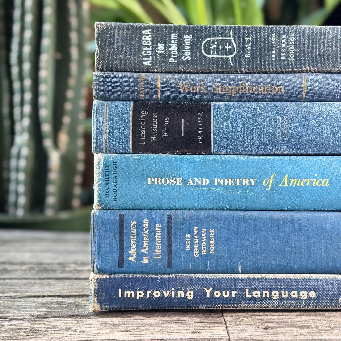 Vintage Oversized Blue Mid-Century Textbook Bundle For Shelf Styling