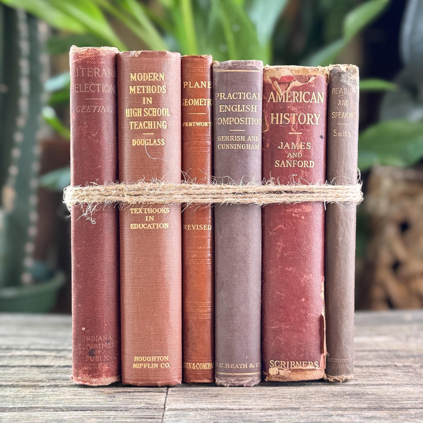 Antique Red, Copper, and Brown School Book Bundle for Shelf Styling