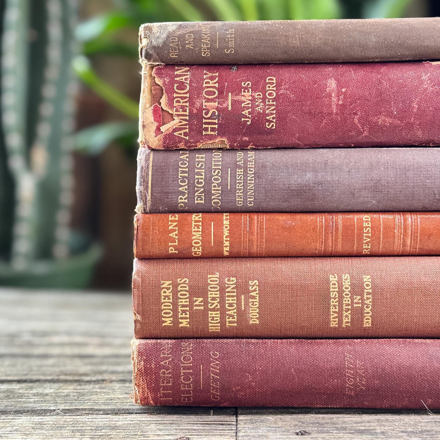 Antique Red, Copper, and Brown School Book Bundle for Shelf Styling