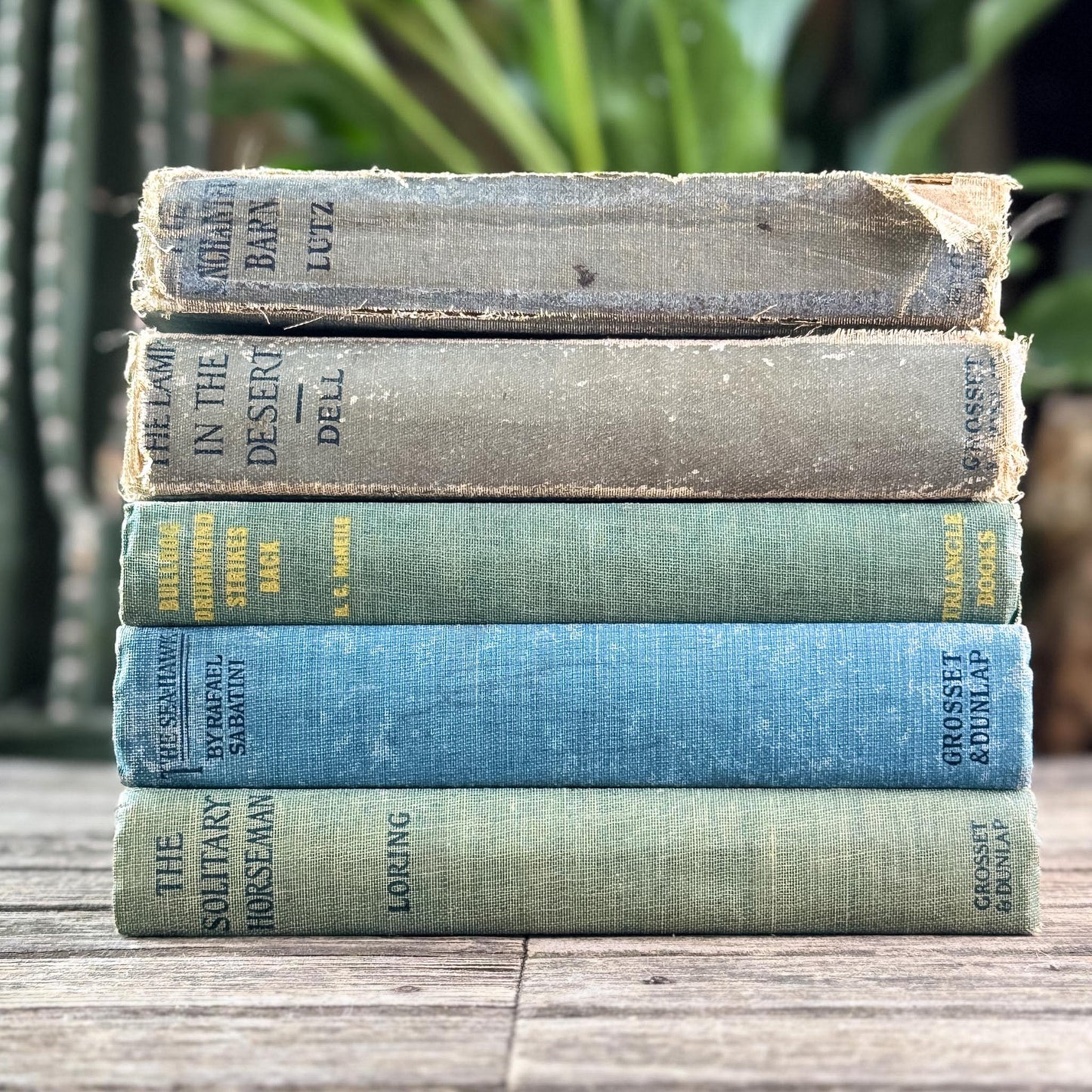 Antique Faded Blue and Green Shabby Distressed Books for Decor