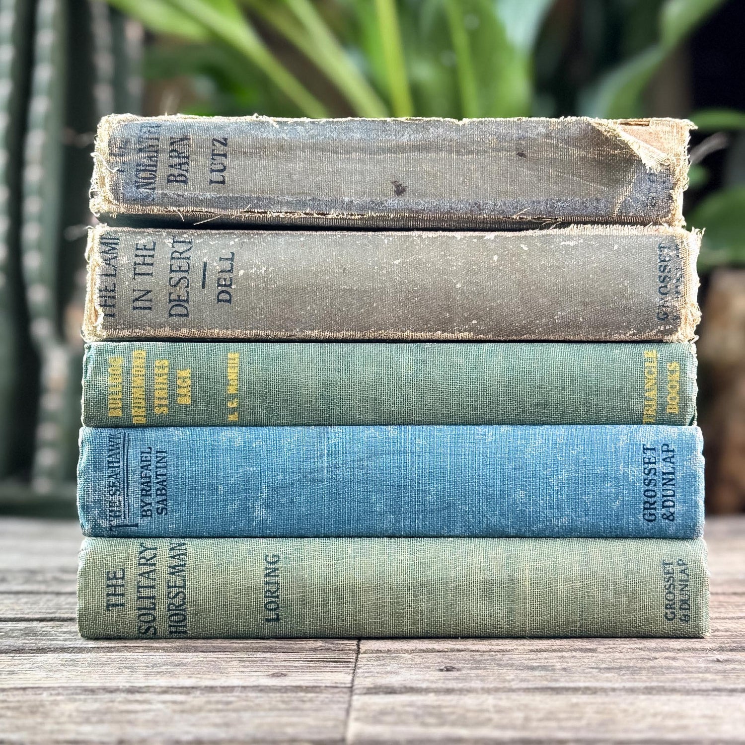 Antique Faded Blue and Green Shabby Distressed Books for Decor