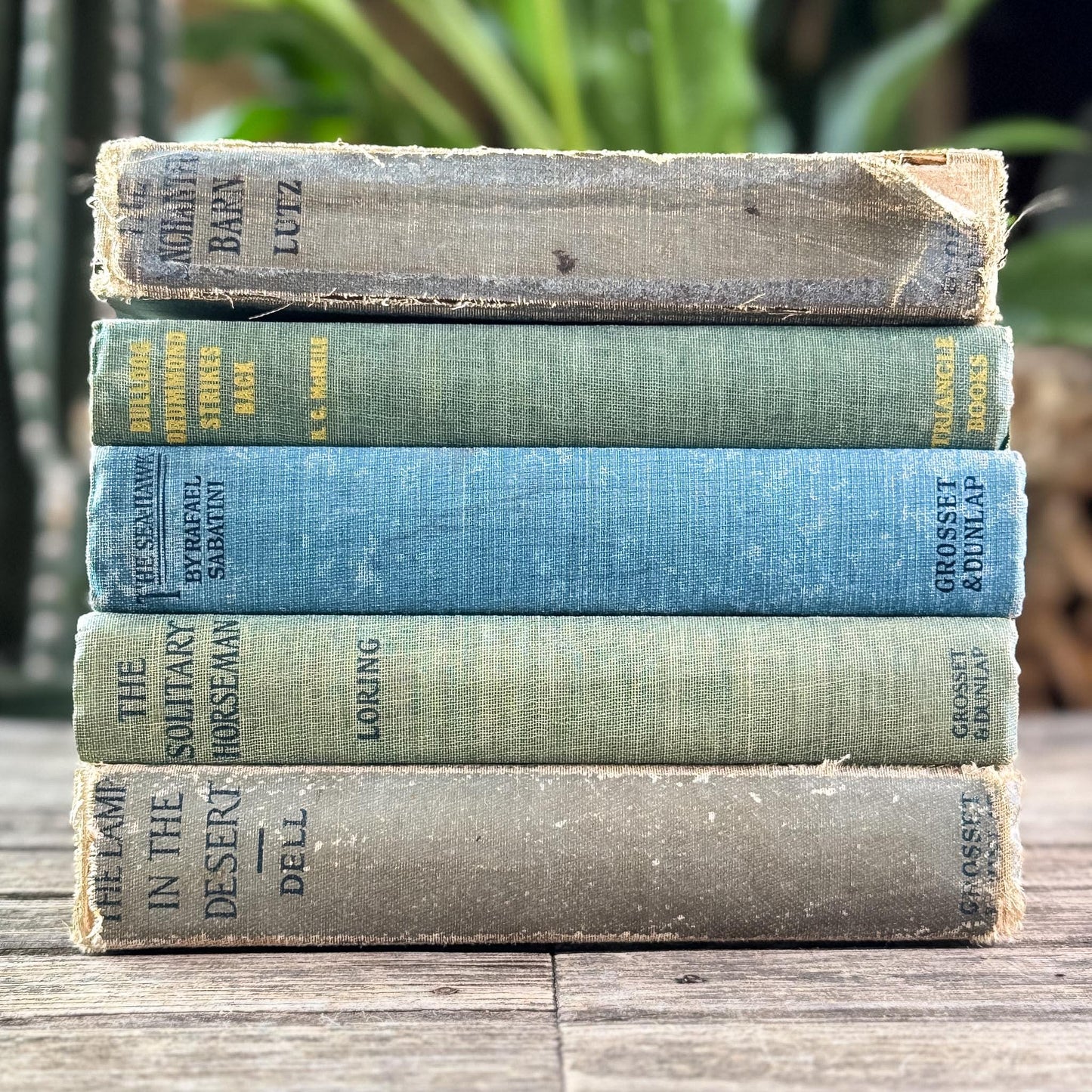 Antique Faded Blue and Green Shabby Distressed Books for Decor