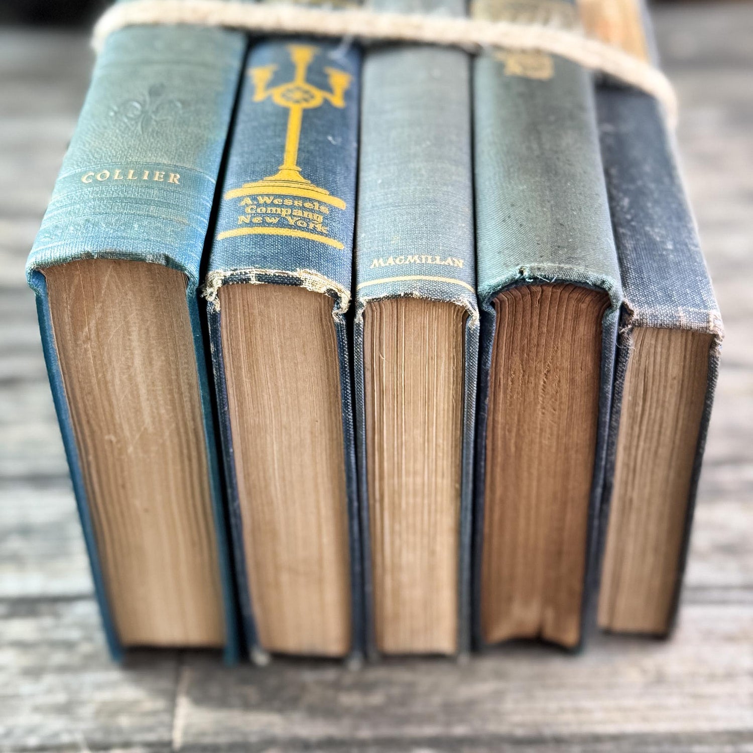 Antique Ornate Slate Blue Book Set for Display