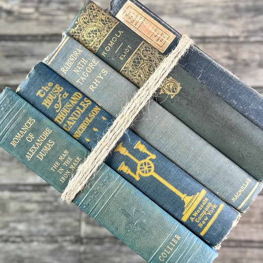 Antique Ornate Slate Blue Book Set for Display