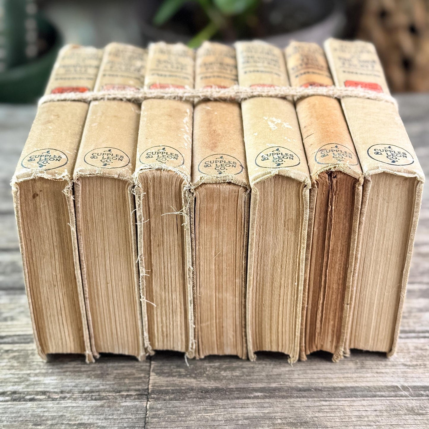 Antique 1920s Shabby Ruth Fielding Books for Shelf Styling