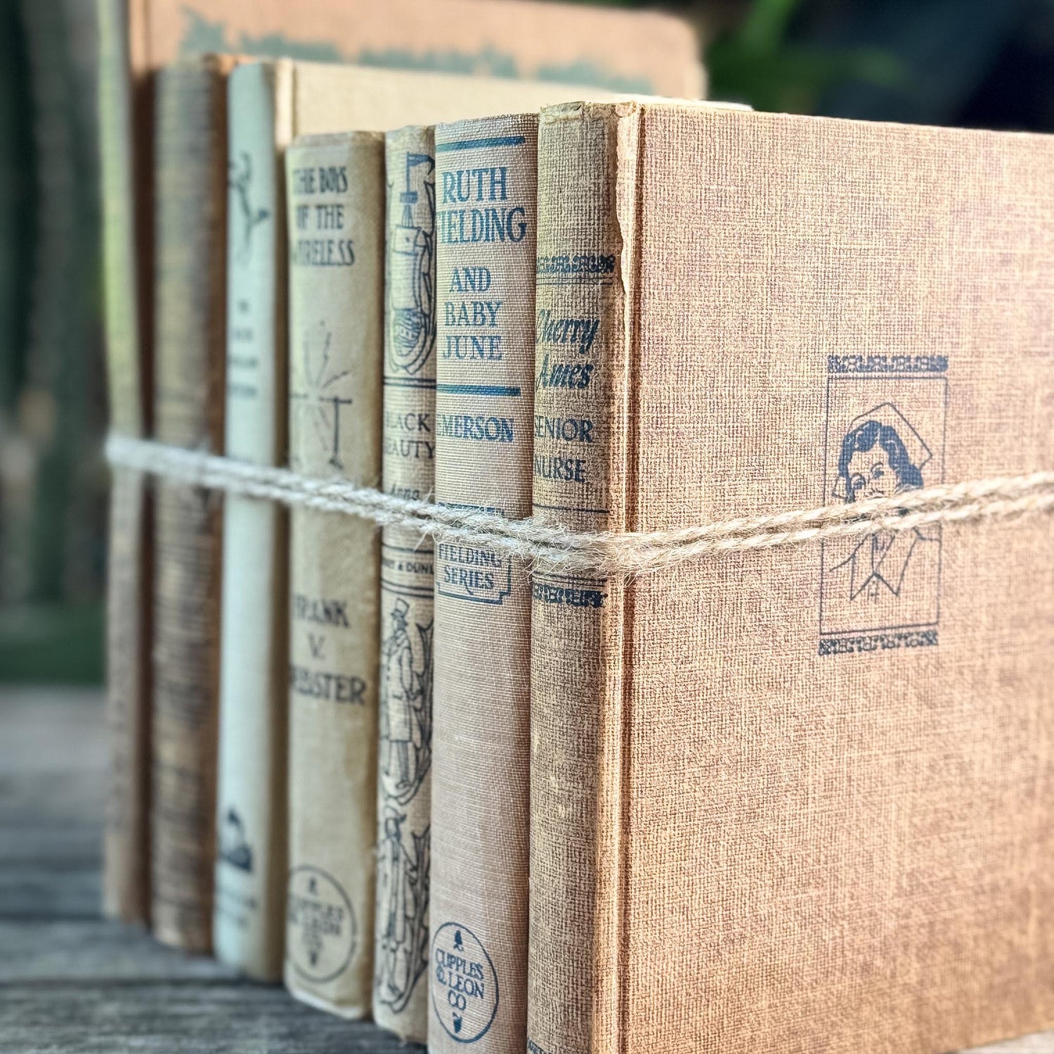 Antique Neutral Children's Book Bundle For Decor