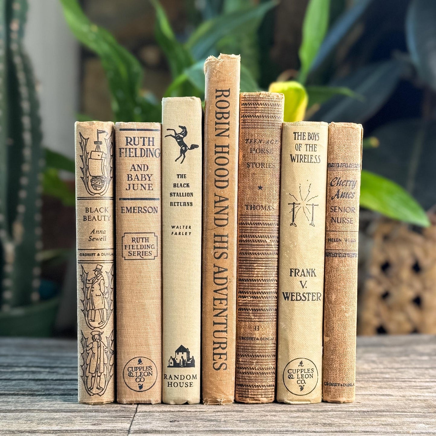 Antique Neutral Children's Book Bundle For Decor