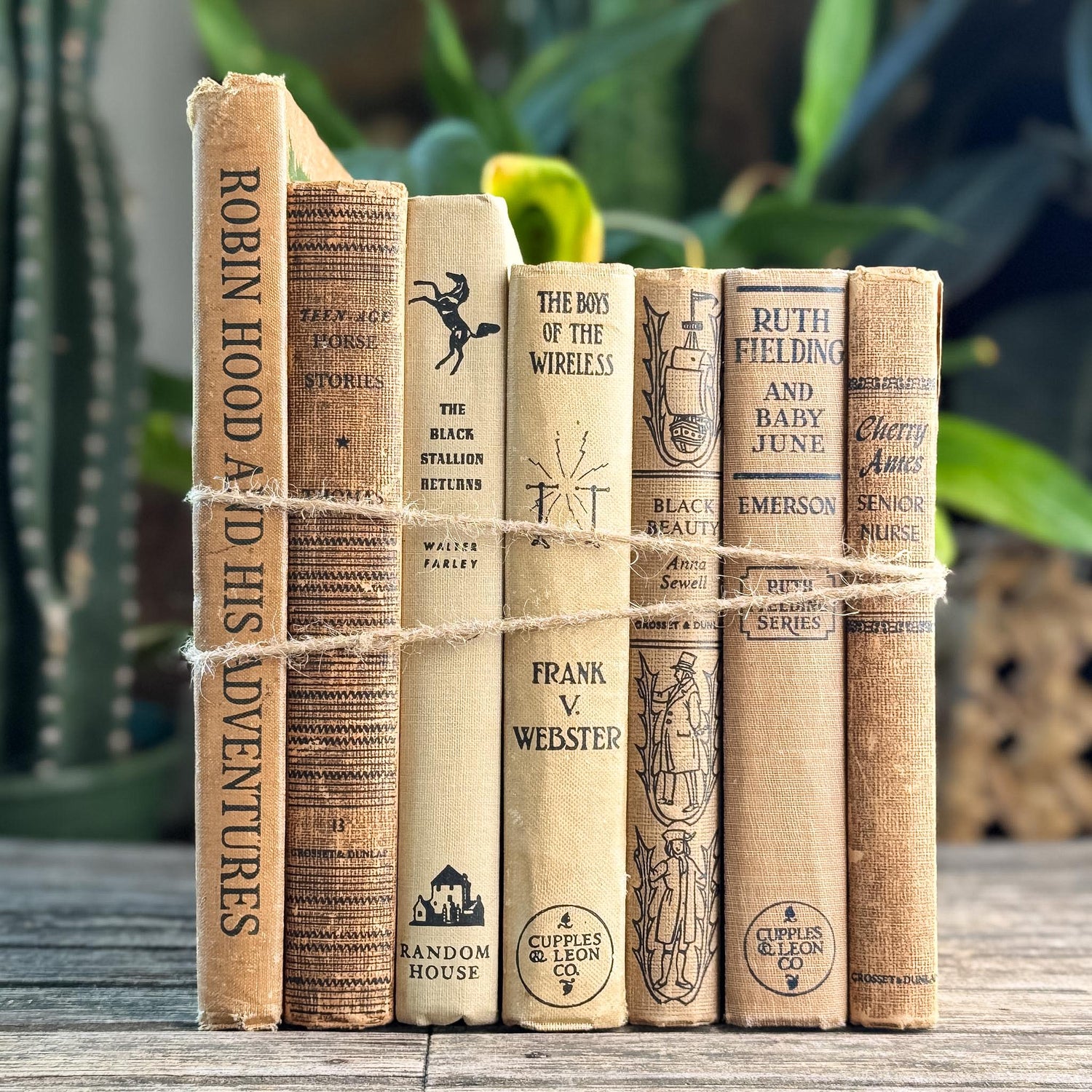 Antique Neutral Children's Book Bundle For Decor