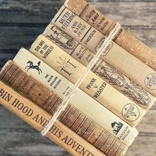 Antique Neutral Children's Book Bundle For Decor