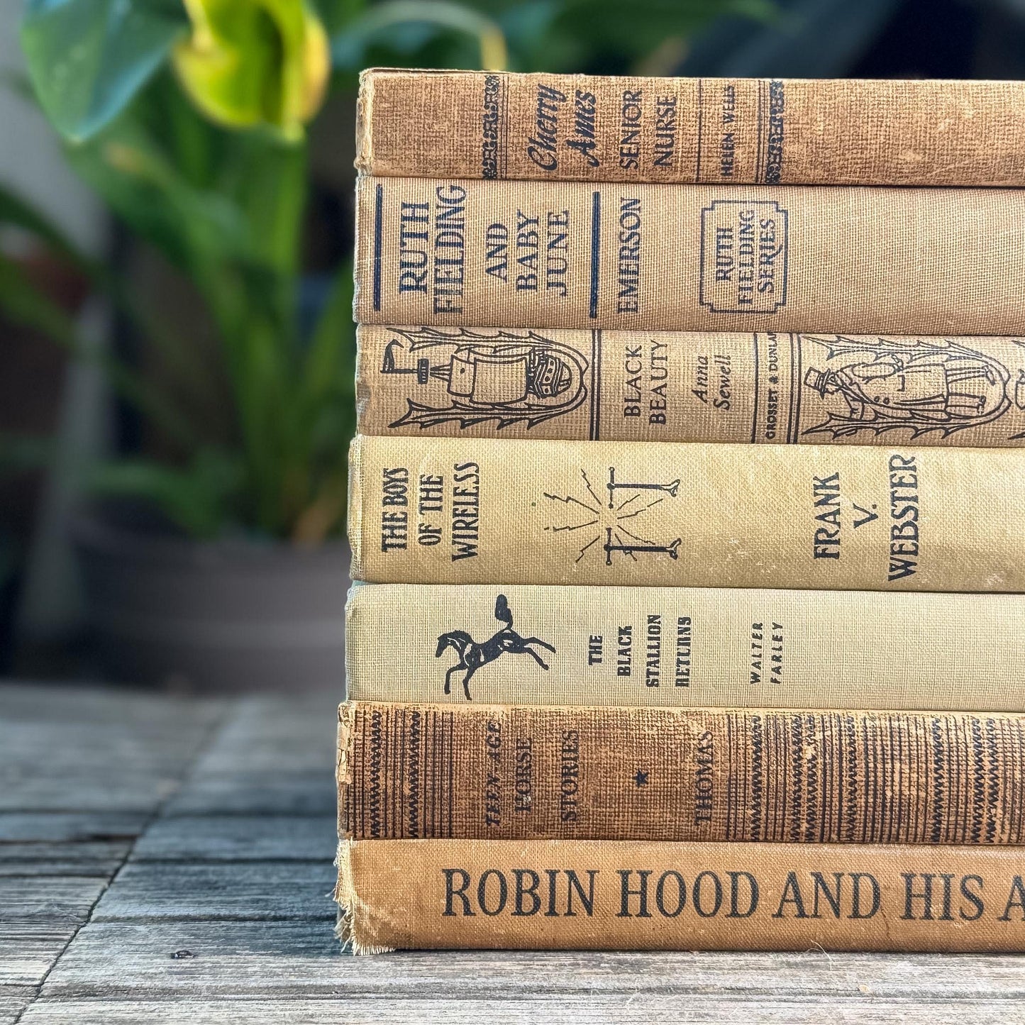 Antique Neutral Children's Book Bundle For Decor