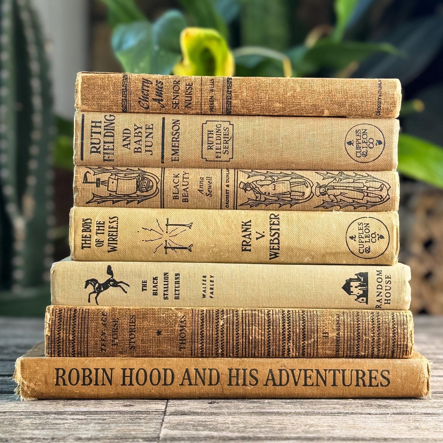Antique Neutral Children's Book Bundle For Decor