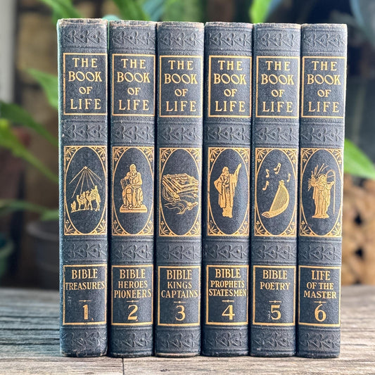 Vintage Blue Decorative Christian Book Set, The Book of Life, 1954