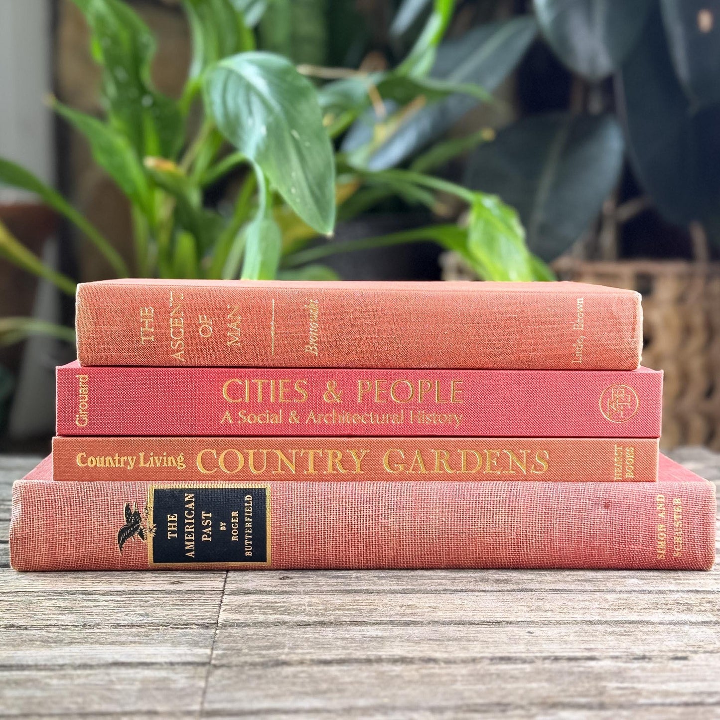 Vintage Terra Cotta and Red Gold Coffee Table Book Bundle for Decor