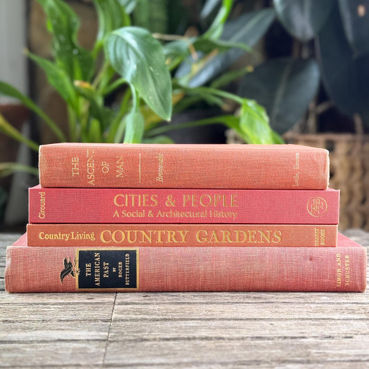 Vintage Terra Cotta and Red Gold Coffee Table Book Bundle for Decor