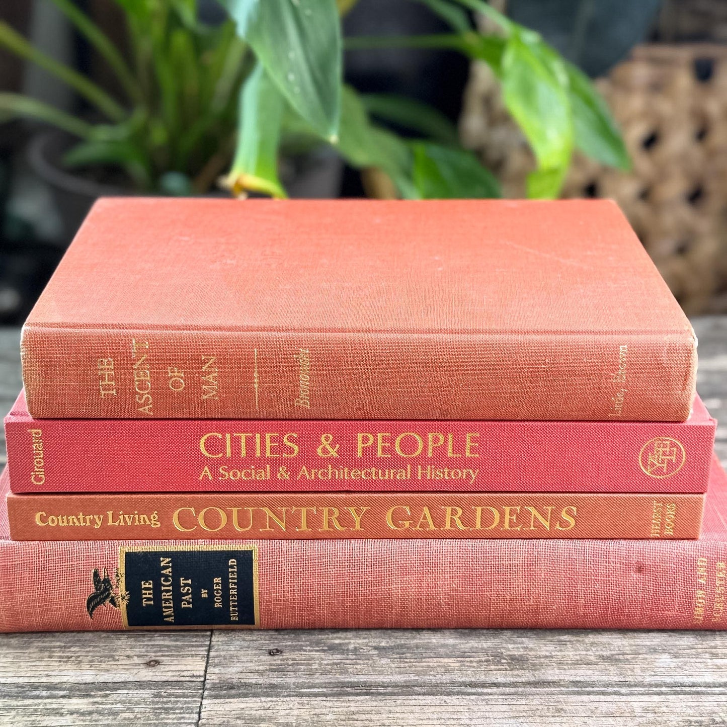 Vintage Terra Cotta and Red Gold Coffee Table Book Bundle for Decor