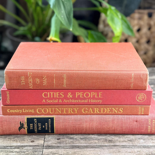 Vintage Terra Cotta and Red Gold Coffee Table Book Bundle for Decor