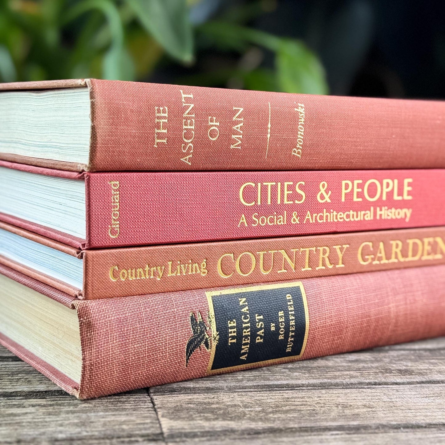 Vintage Terra Cotta and Red Gold Coffee Table Book Bundle for Decor