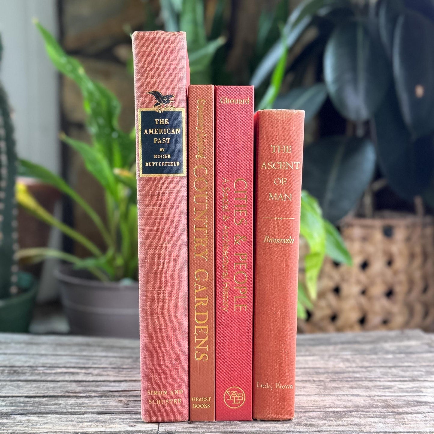 Vintage Terra Cotta and Red Gold Coffee Table Book Bundle for Decor