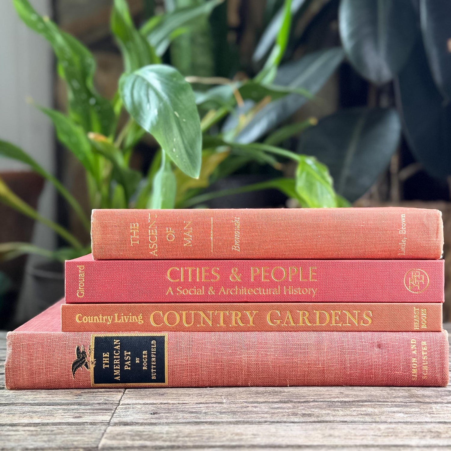 Vintage Terra Cotta and Red Gold Coffee Table Book Bundle for Decor