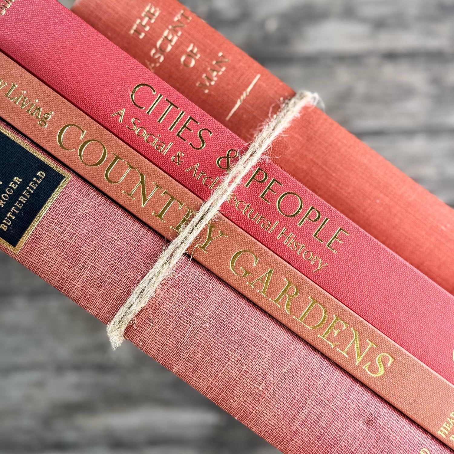 Vintage Terra Cotta and Red Gold Coffee Table Book Bundle for Decor
