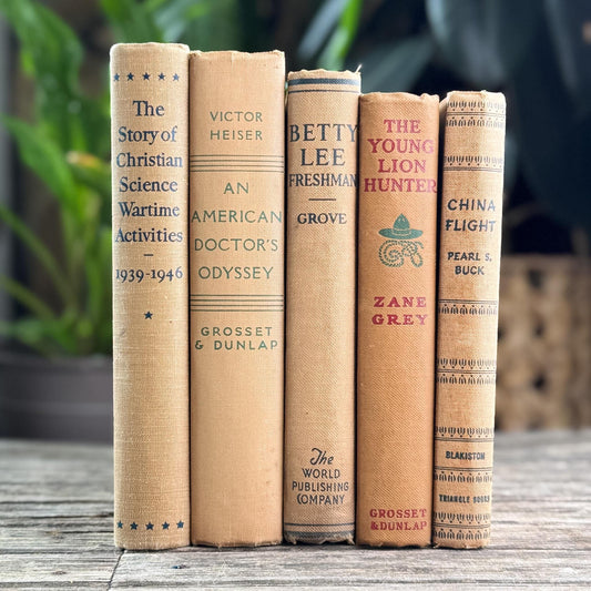 Vintage Neutral Shabby Book Bundle