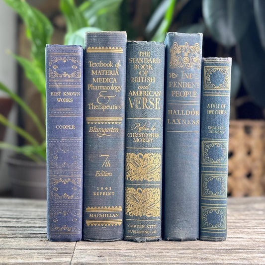 Dark Academia Navy & Gold Vintage Book Bundle for Shelf Styling