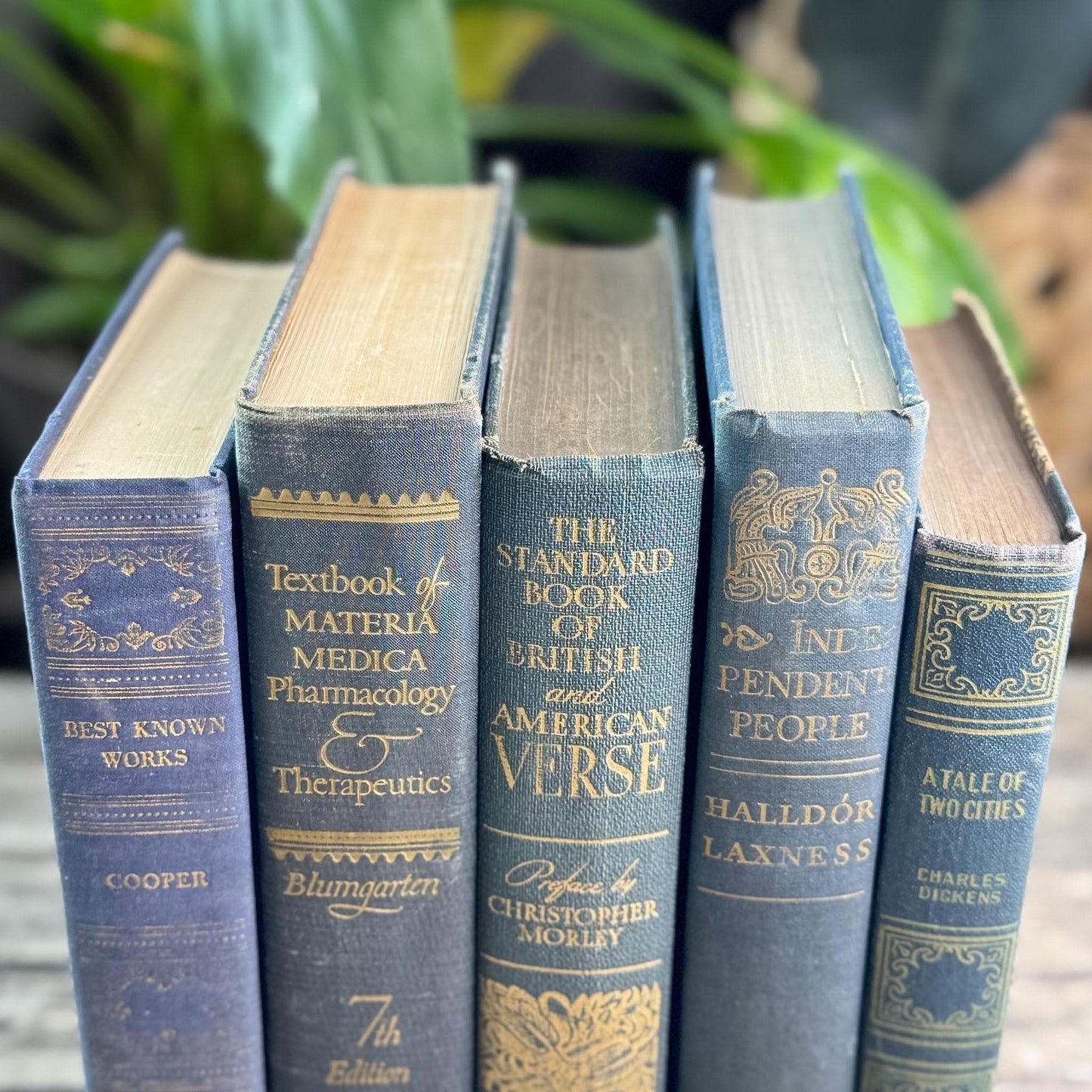 Dark Academia Navy & Gold Vintage Book Bundle for Shelf Styling
