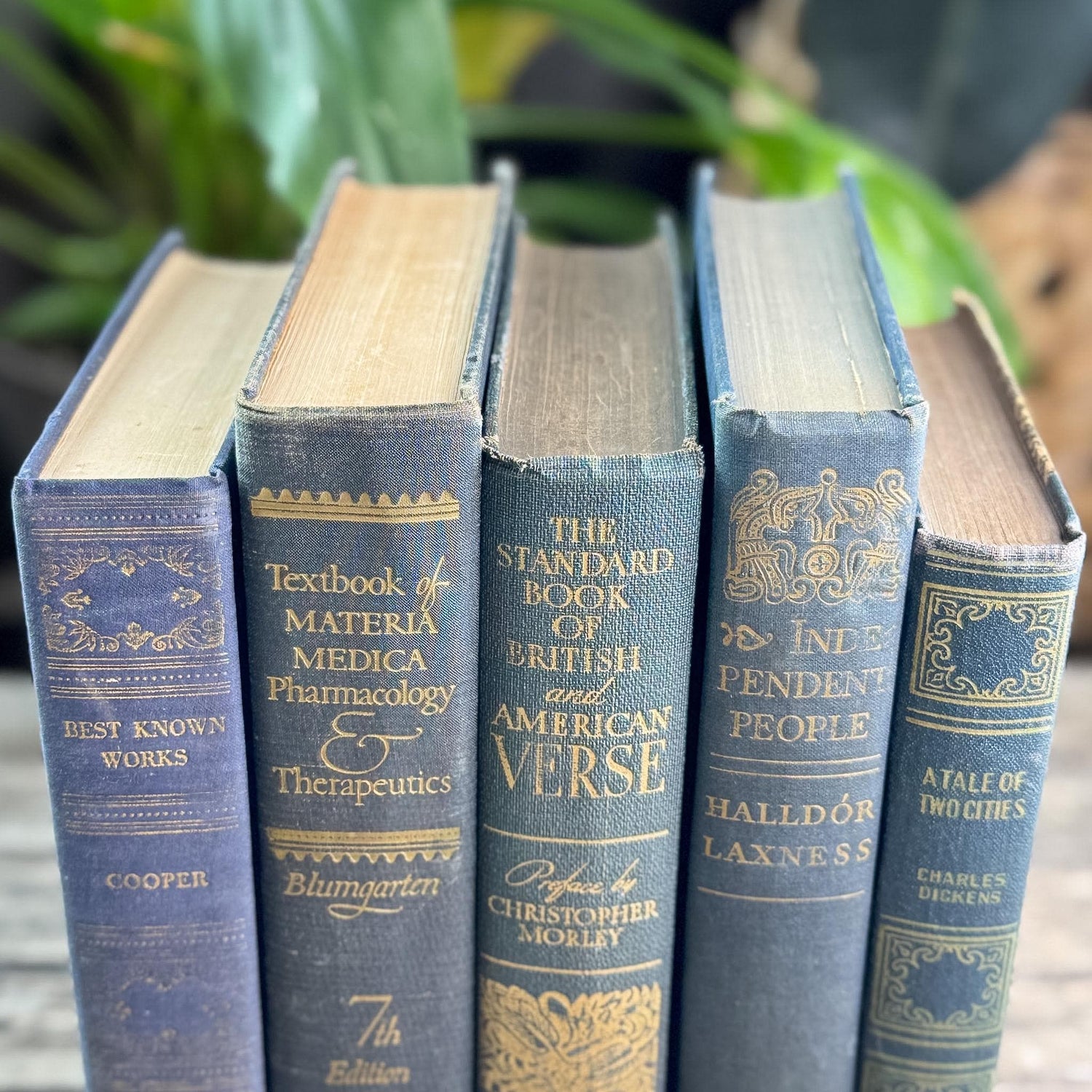 Dark Academia Navy & Gold Vintage Book Bundle for Shelf Styling