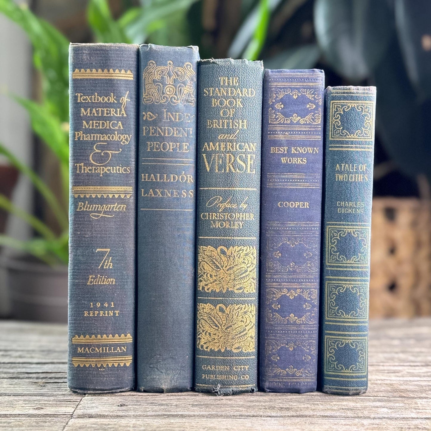 Dark Academia Navy & Gold Vintage Book Bundle for Shelf Styling